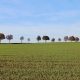 Rangée d