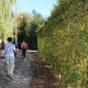 La rue à Bateau